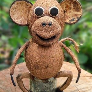 JELLIFY Coconut Monkey : Decorative Showpiece